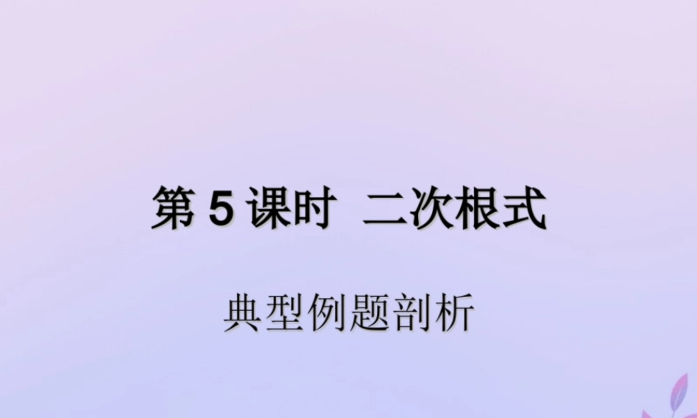 中考数学复习 第5课时 二次根式 3 典型例题剖析(课后作业)课件