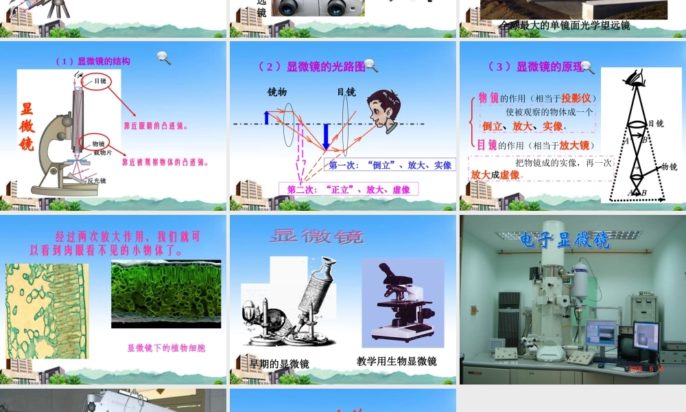 八年级物理上册 第四章在光的世界里课件 教科版 课件