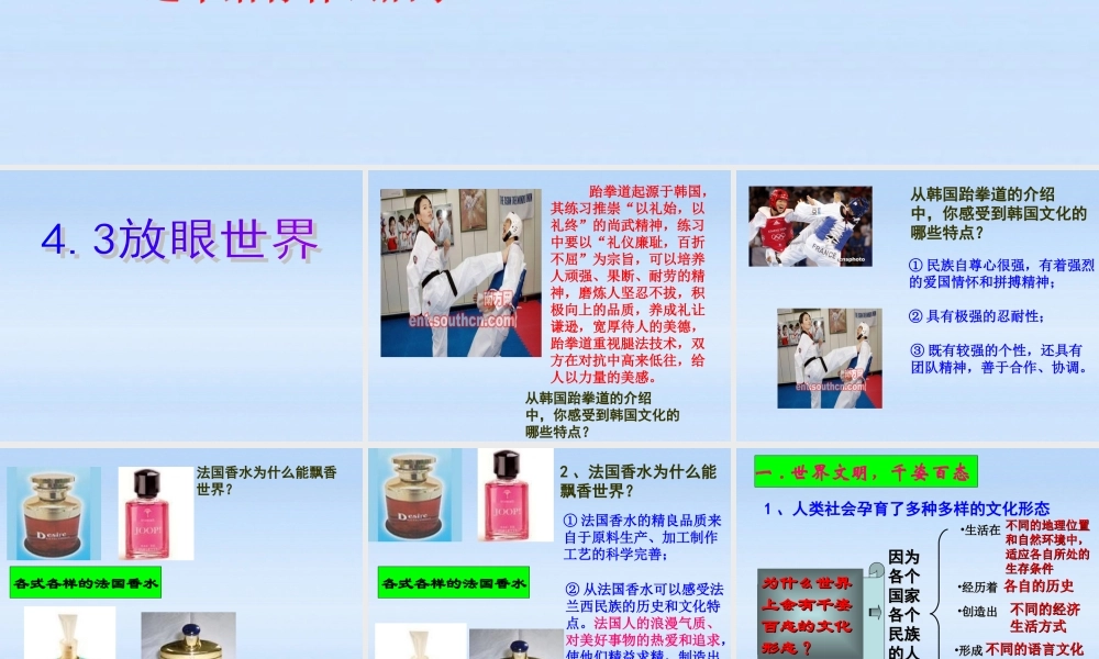 八年级政治上册 4.3放眼世界课件 粤教版 课件