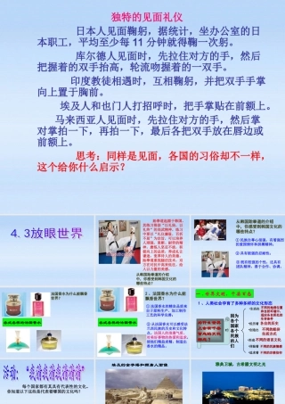 八年级政治上册 4.3放眼世界课件 粤教版 课件