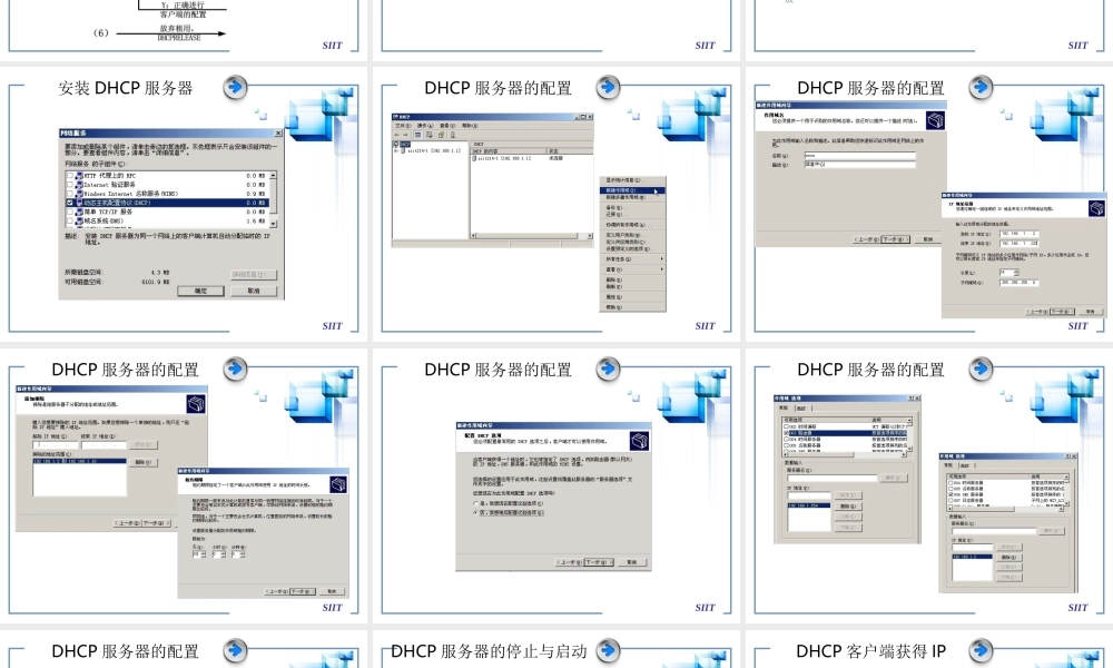 任务九-DHCP服务