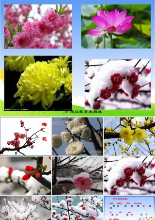 《梅花》课件