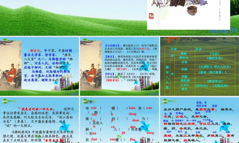 九年级语文上册 (捕蛇者说)优秀实用课件 苏教版 课件