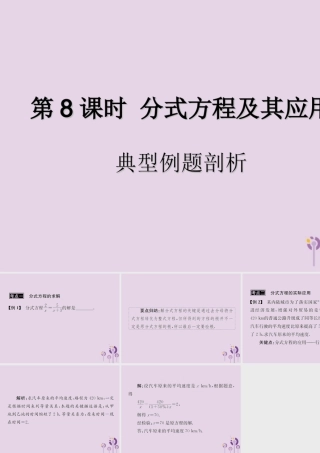 中考数学复习 第8课时 分式方程及其应用 3 典型例题剖析(课后作业)课件