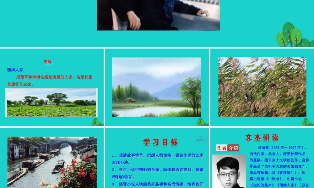 九年级语文下册 第二单元 8蒲柳人家(节选课件 新人教版 课件