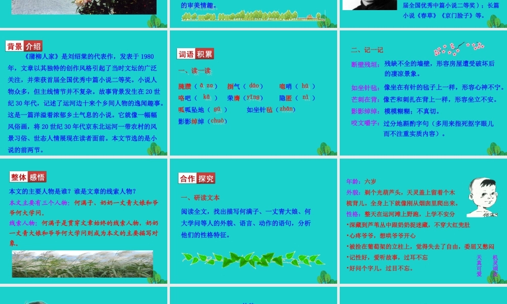 九年级语文下册 第二单元 8蒲柳人家(节选课件 新人教版 课件