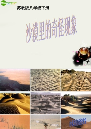八年级语文下册(沙漠里的奇怪现象)课件2 苏教版 课件