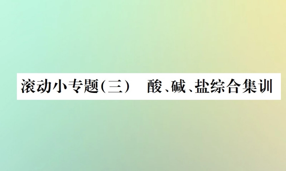 中考化学复习 滚动小专题(三)酸、碱、盐综合集训课件