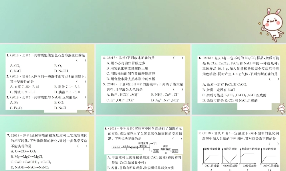 中考化学复习 滚动小专题(三)酸、碱、盐综合集训课件