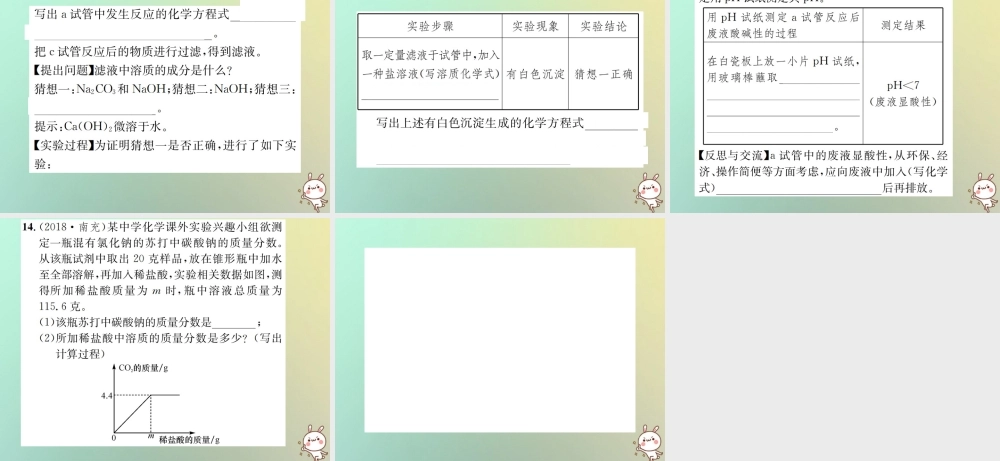 中考化学复习 滚动小专题(三)酸、碱、盐综合集训课件