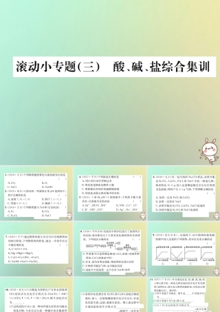 中考化学复习 滚动小专题(三)酸、碱、盐综合集训课件