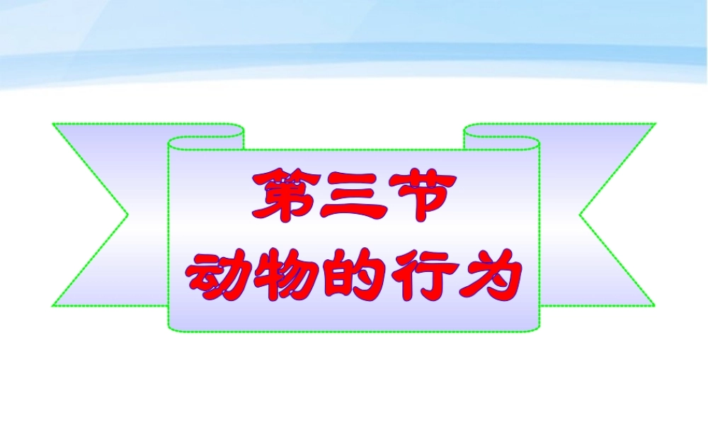 七年级生物上册 动物的行为新授课课件 济南版 课件
