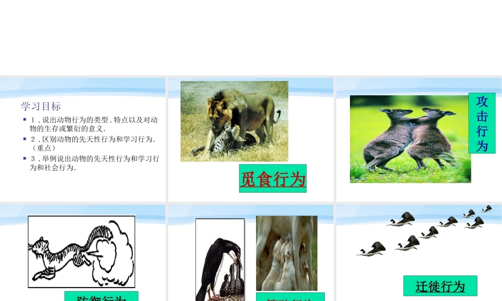 七年级生物上册 动物的行为新授课课件 济南版 课件