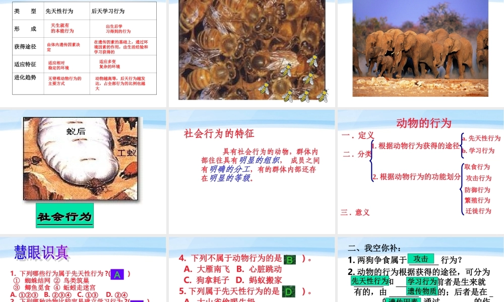 七年级生物上册 动物的行为新授课课件 济南版 课件