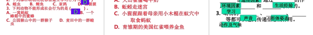 七年级生物上册 动物的行为新授课课件 济南版 课件