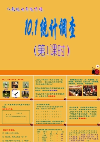 七年级数学下册 10.1 统计调查(第1课时)课件 人教新课标版 课件