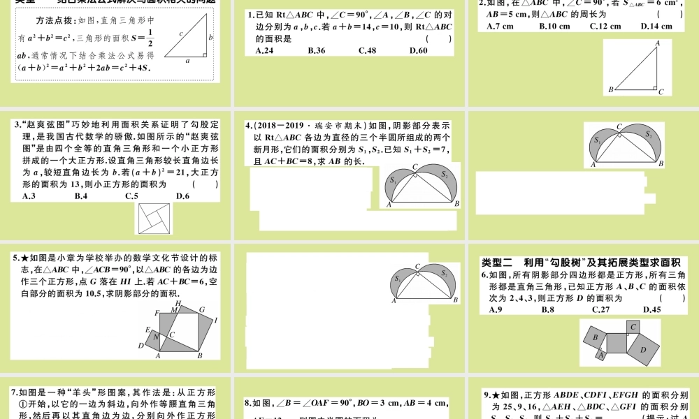 八年级数学上册 第一章(勾股定理)微专题：勾股定理与面积问题(2)作业课件 (新版)北师大版 课件