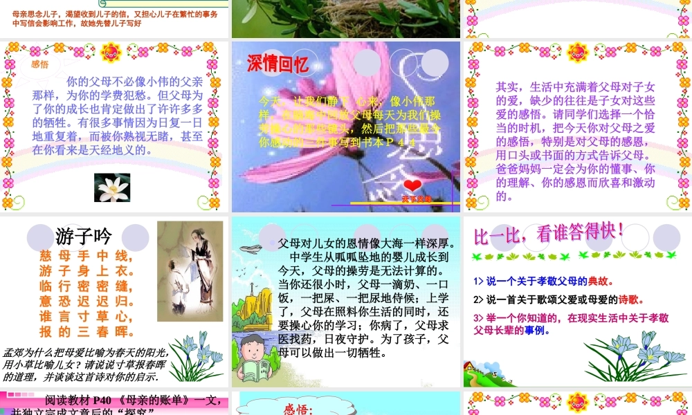 八年级政治 天下父母心课件