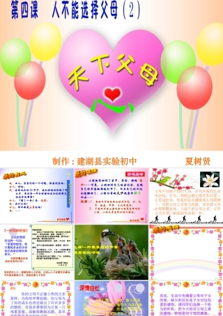 八年级政治 天下父母心课件