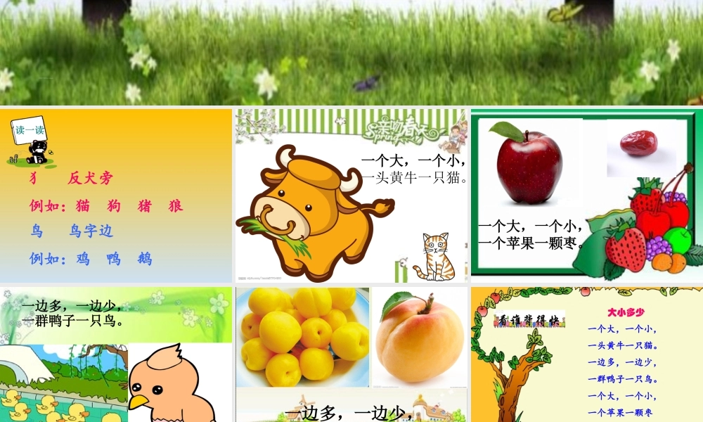 7、大小多少-课件