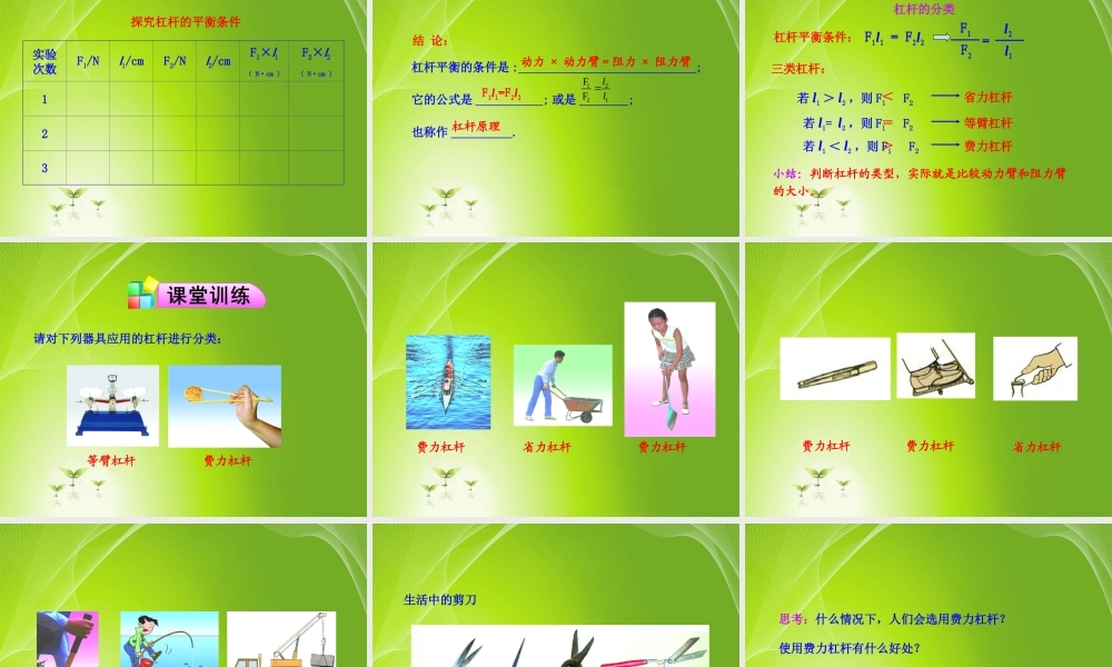 2012-2013学年最新人教版八年级物理下册第12章第1节--杠杆