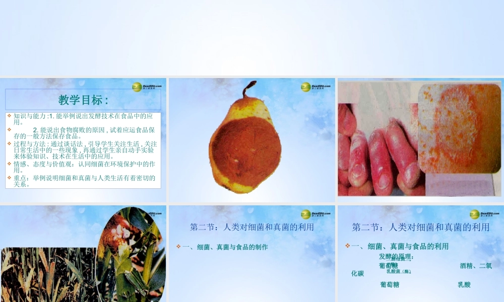 八年级生物上册 第五单元 4.5 人类对细菌和真菌的利用课件 新人教版 课件