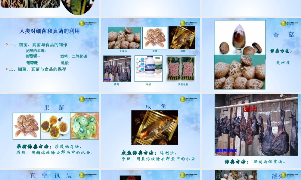 八年级生物上册 第五单元 4.5 人类对细菌和真菌的利用课件 新人教版 课件