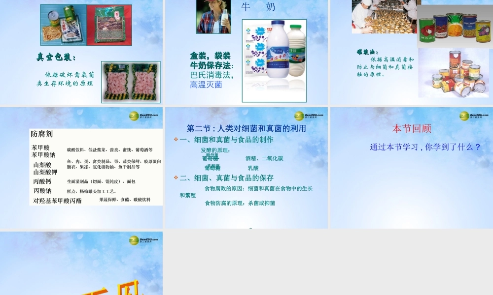 八年级生物上册 第五单元 4.5 人类对细菌和真菌的利用课件 新人教版 课件