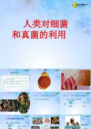 八年级生物上册 第五单元 4.5 人类对细菌和真菌的利用课件 新人教版 课件