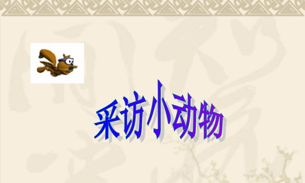 教科版小学科学三年级上册第二单元《采访小动物》课件