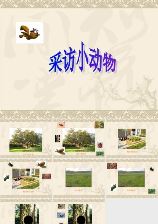 教科版小学科学三年级上册第二单元《采访小动物》课件