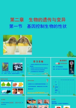 八年级生物下册 7.2.1 基因控制生物的性状课件 八年级生物下册 7.2.1 基因控制生物的性状课件+素材(新版)新人教版 八年级生物下册 7.2.1 基因控制生物的性状课件+素材(新版)新人教版