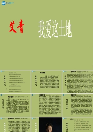 九年级语文下册 1(诗两首)我爱这土地课件3 新人教版 课件