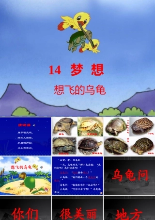 《想飞的乌龟》课件