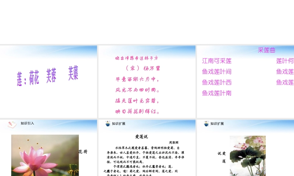 《爱莲说》课件4