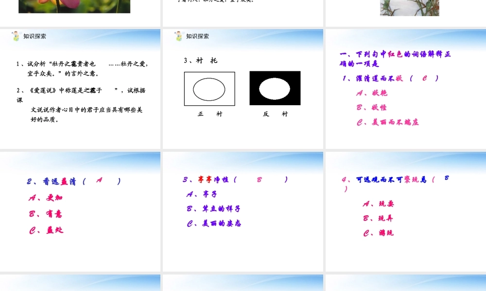 《爱莲说》课件4