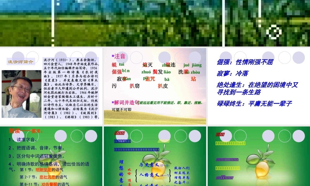 七年级语文上册 第六课  理想(流沙河)课件 人教新课标版 课件