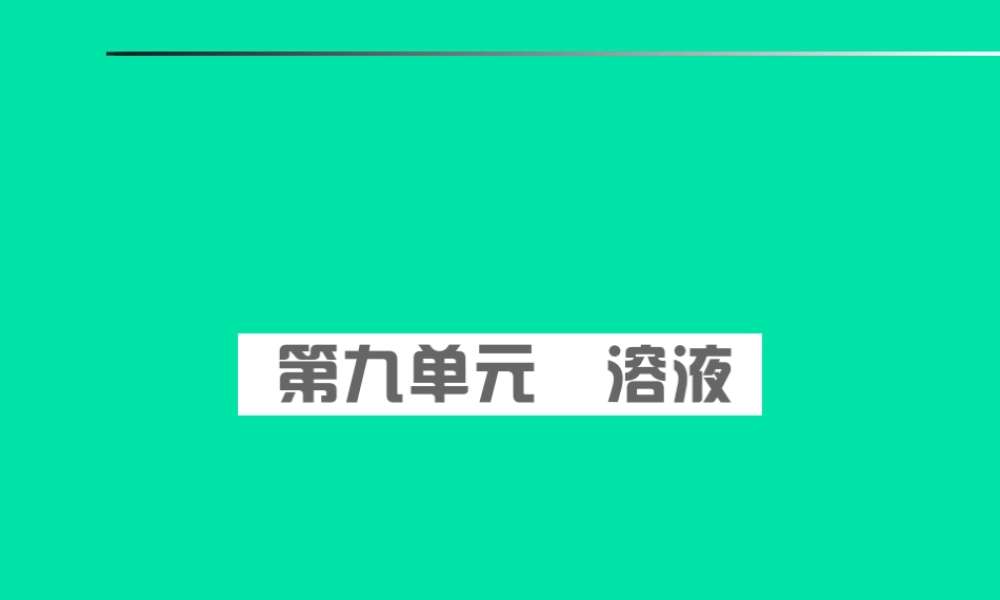 安徽省中考化学总复习 第九单元 溶液课件