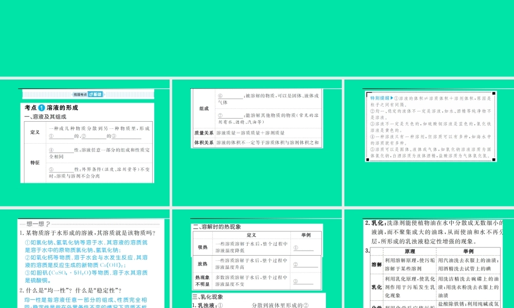 安徽省中考化学总复习 第九单元 溶液课件