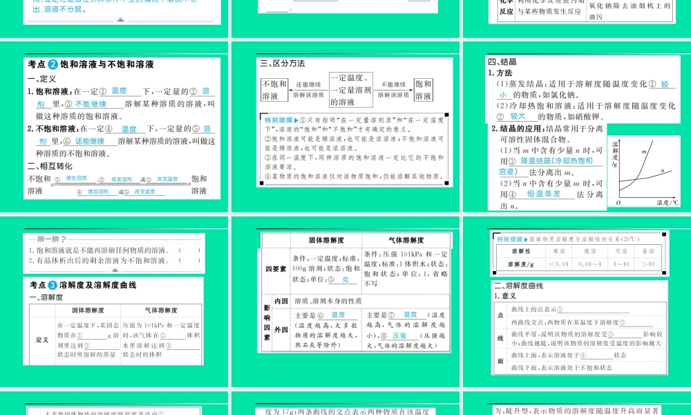 安徽省中考化学总复习 第九单元 溶液课件