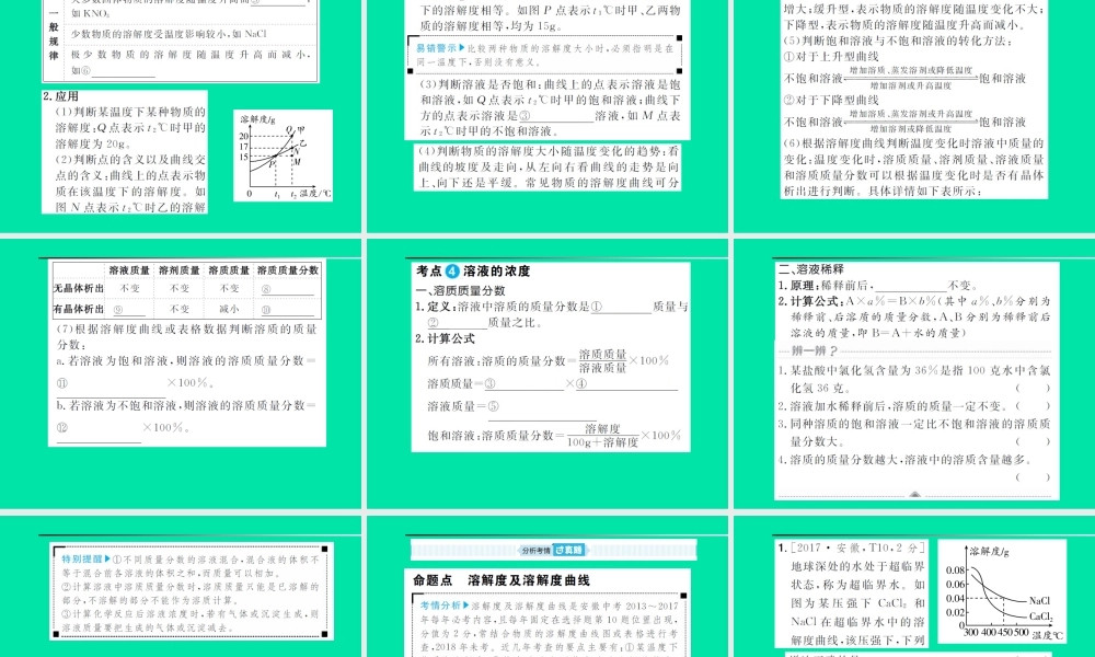 安徽省中考化学总复习 第九单元 溶液课件