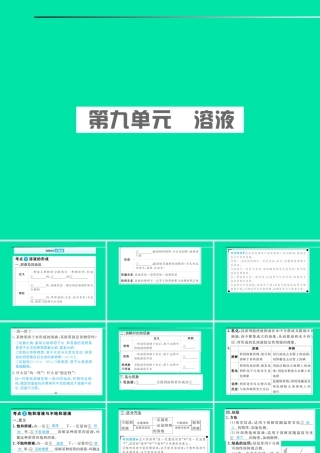 安徽省中考化学总复习 第九单元 溶液课件