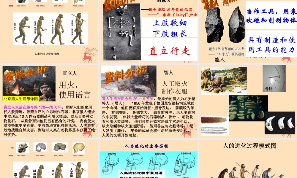 八年级生物下册 第六单元 生物的繁衍和发展 第三章 生物的起源与进化 6.3.3 人类的起源课件(新版)冀教版 课件