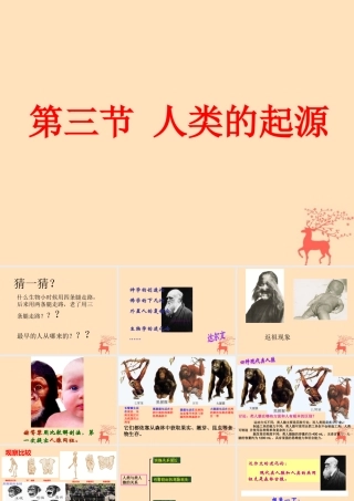 八年级生物下册 第六单元 生物的繁衍和发展 第三章 生物的起源与进化 6.3.3 人类的起源课件(新版)冀教版 课件