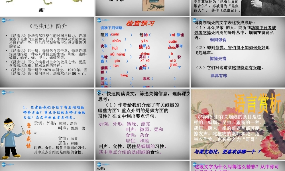 中学七年级语文上册 第23课 绿色蝈蝈课件 (新版)新人教版 课件