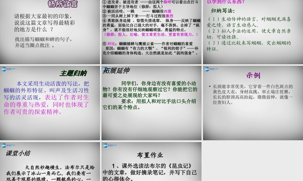 中学七年级语文上册 第23课 绿色蝈蝈课件 (新版)新人教版 课件