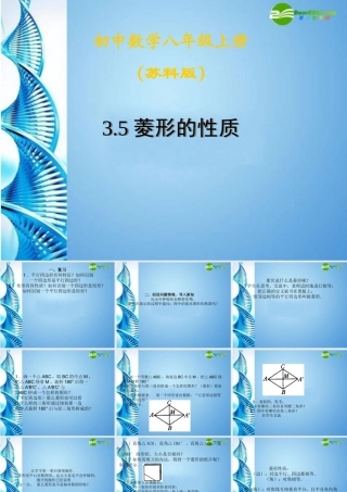 八年级数学上册 3.5 菱形的性质课件 苏科版 课件
