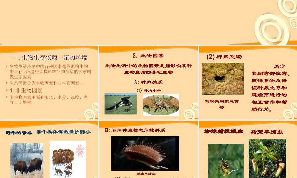 七年级生物上册 生物学研究的基本方法教案课件 苏教版 课件