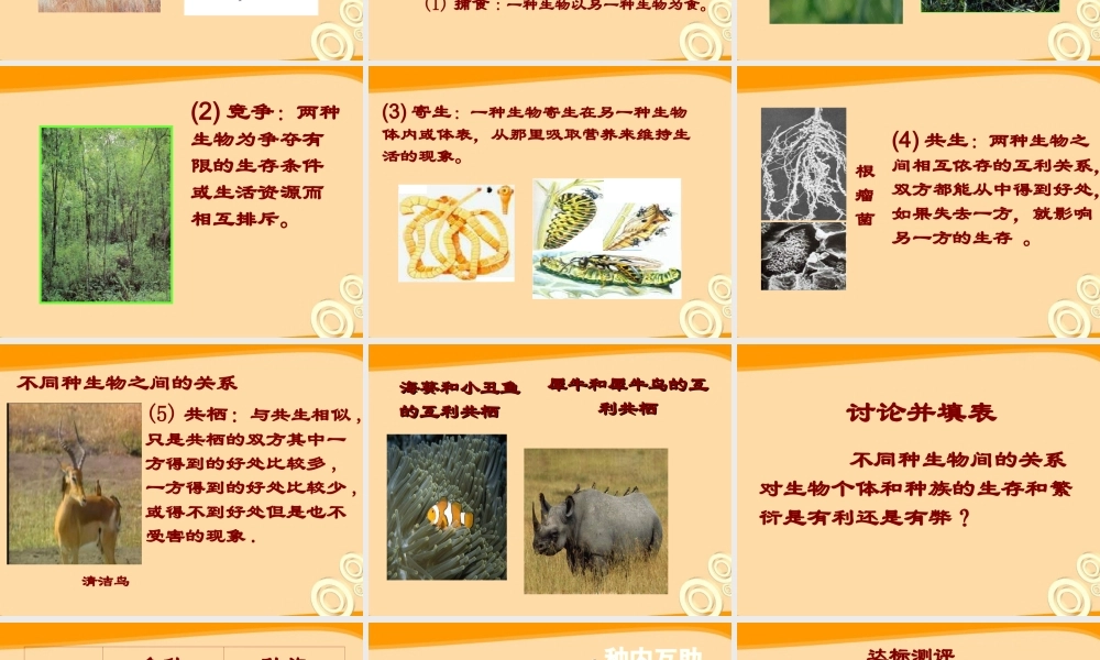 七年级生物上册 生物学研究的基本方法教案课件 苏教版 课件