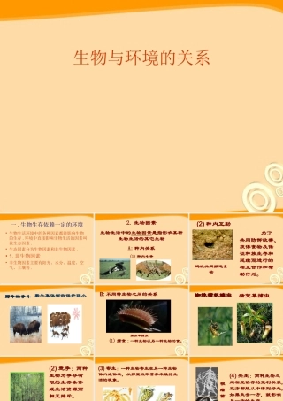 七年级生物上册 生物学研究的基本方法教案课件 苏教版 课件